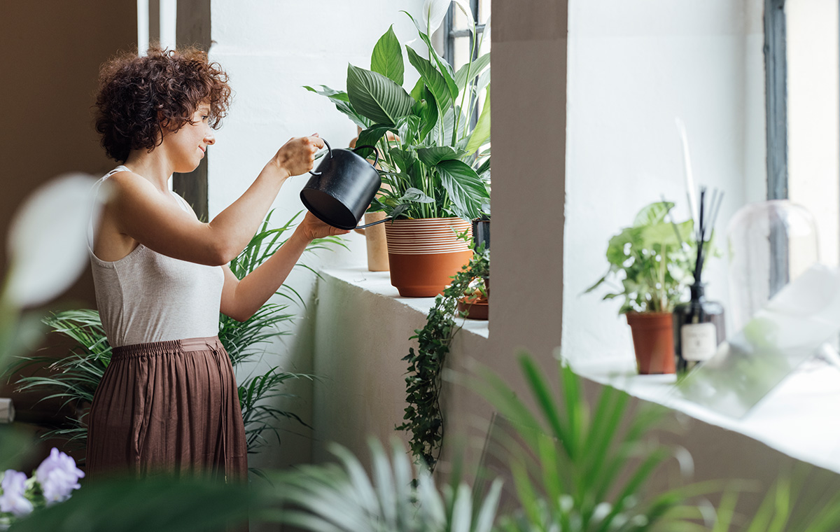 La nature à la maison : créez votre propre jardin d’hiver