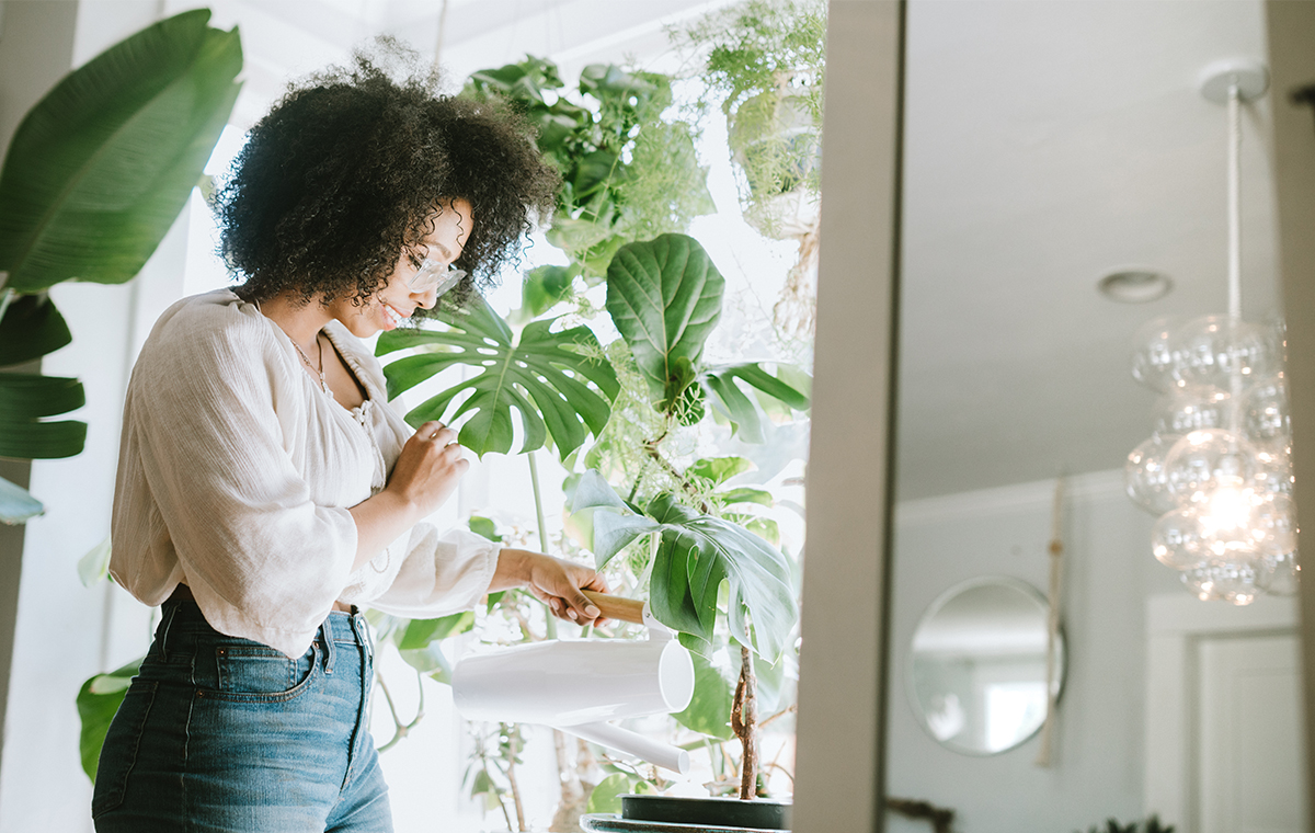 3 astuces pour prendre soin de ses plantes d'intérieur